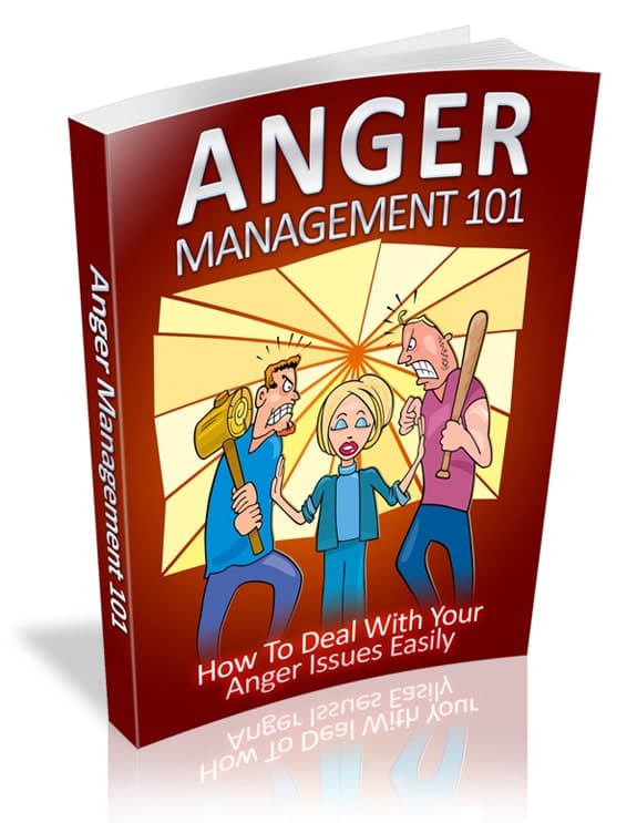 Gestão de Anger 101