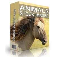 animal banco de imagens