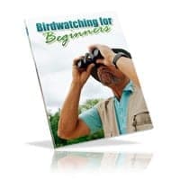 Observação de Aves Para Iniciantes