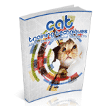 Técnicas de Treinamento de Gatos