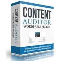 Conteúdo Auditor WordPress Plugin