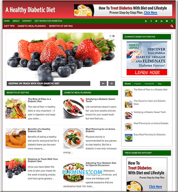 Dieta Diabética Niche PLR Website