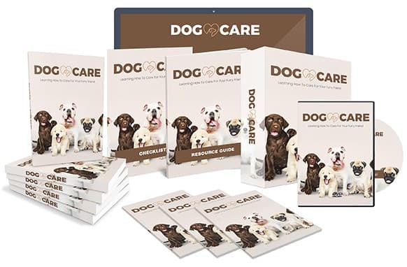 Cuidado do cão