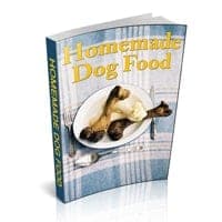 Comida caseira para cães