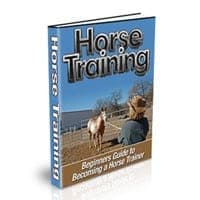 Treino Cavalo