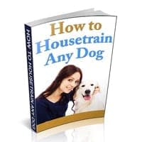 Como Treinar Qualquer Cão