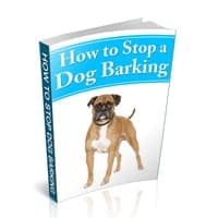 Como Parar um Cachorro Barking