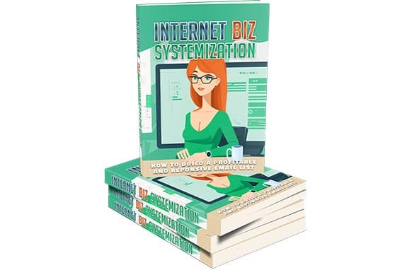 Internet Biz Sistematização