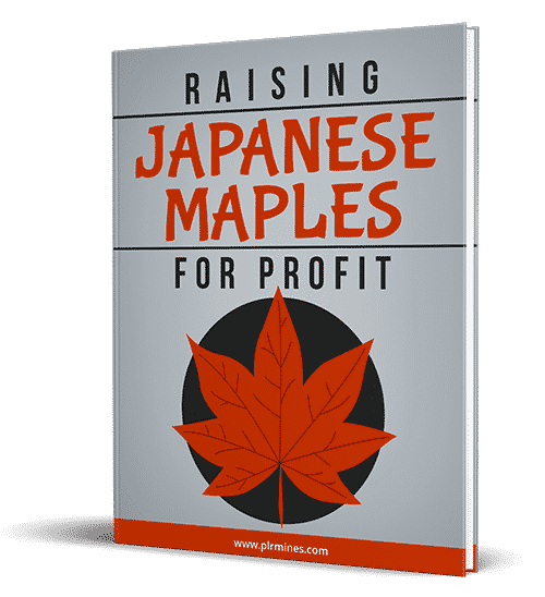 Maples japoneses para o lucro