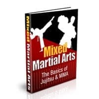 Artes Marciais Mistas