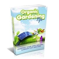 Dicas de jardinagem orgânica