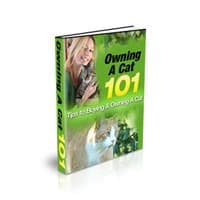 Possuir um gato 101