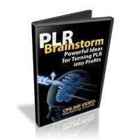 Brainstorm PLR