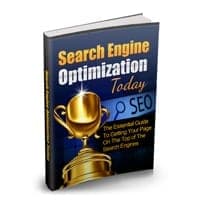 Search Engine Optimization Hoje
