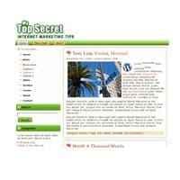 Top Secret WordPress Tema