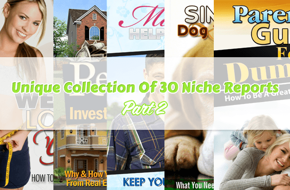 Coleção única de 30 relatórios de nicho Parte 2
