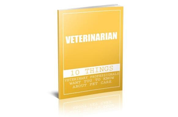 Veterinários