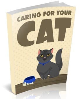 Cuidando do seu gato