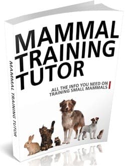 Mammal Training Tutor Edição 2