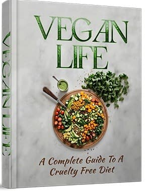 Vida Vegan