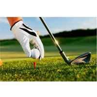 25 eBooks de golfe
