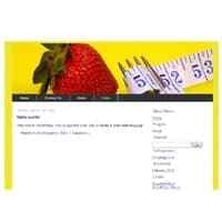 5 Temas do site Vol1