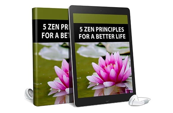 5 princípios zen para uma vida melhor