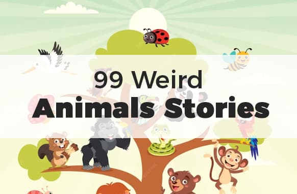 Histórias de animais estranhos 99