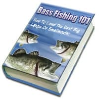 Pesca baixo 101