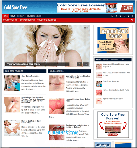 Rio de Janeiro Cold Sores Niche PLR
