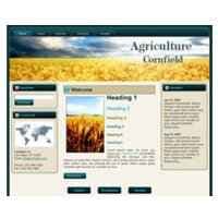 Tema Cornfield WP