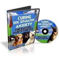 Curing Dog Separação Blog