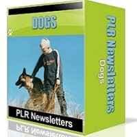 Cães Niche Newsletters