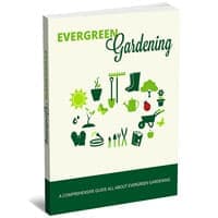 Jardinagem Evergreen