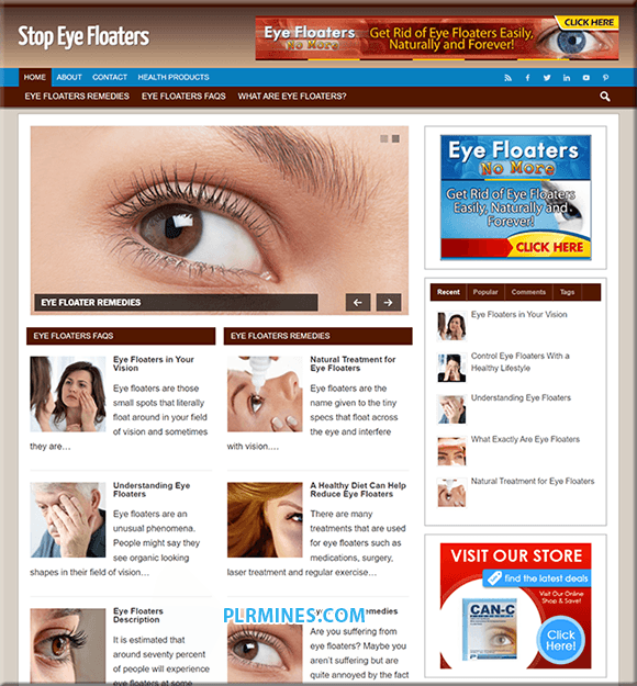 Floaters Olhos WP Blog