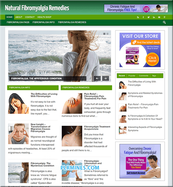 Fibromialgia Remedy PLR Blog