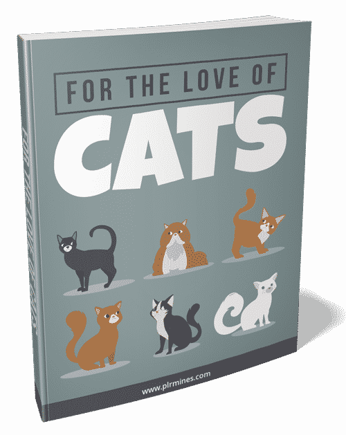 O amor dos gatos 2021