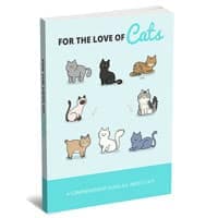 Pelo amor dos gatos