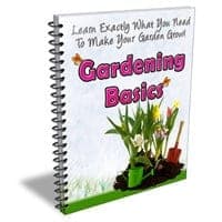 Boletim Informativo de Noções Básicas de Jardinagem