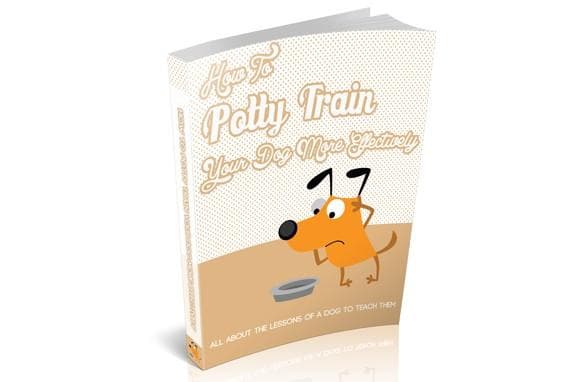 Como treinar seu cão de forma mais eficaz