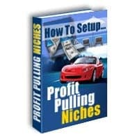 Como configurar o lucro puxando nichos