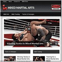 Blog de PLR de Artes Marciais Mistas