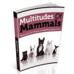 Multidões de Mamíferos