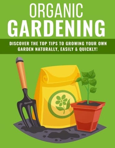Dicas de jardinagem orgânica 2020