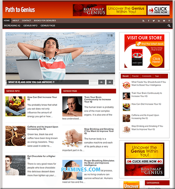 Rio de Janeiro to Genius Niche WordPress PLR Blog