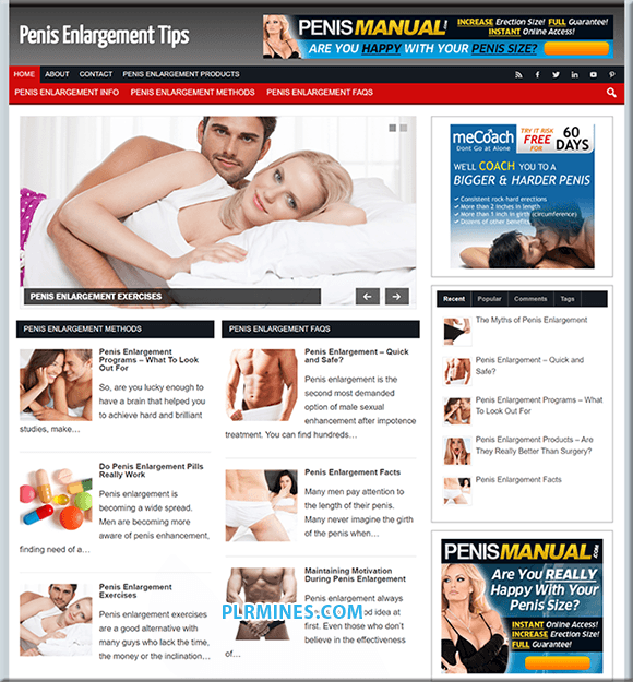 Alargamento do pénis Niche WordPress Website
