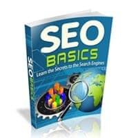 Noções básicas SEO SEO