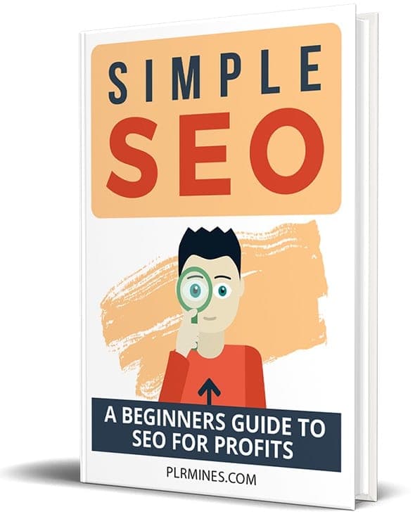 SEO simples eBook