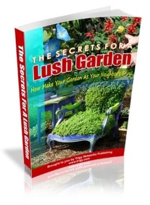 Os segredos para um jardim exuberante