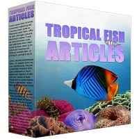 Peixes tropicais PLR Conteúdo